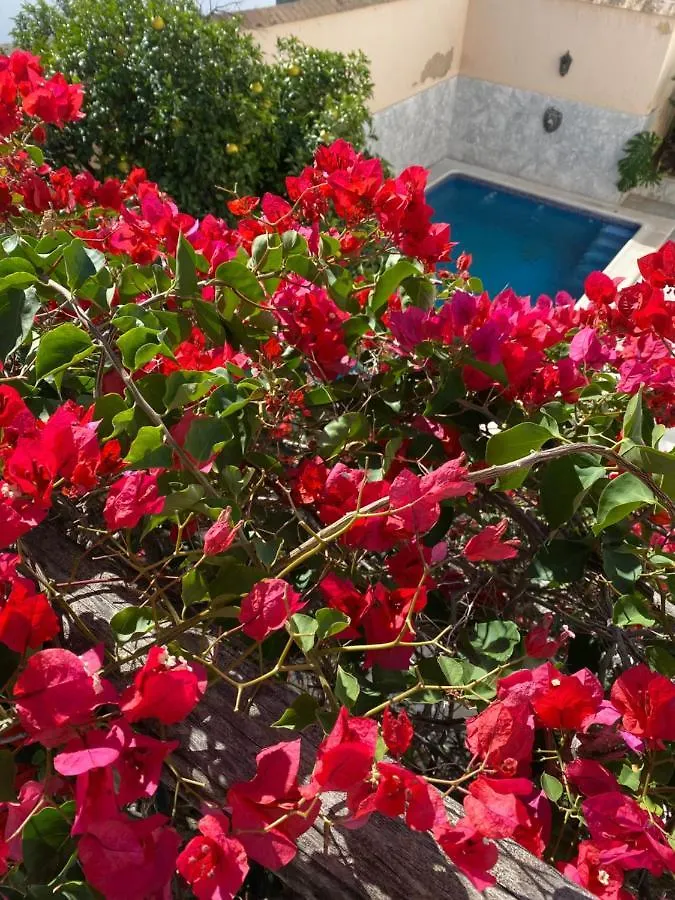 Casa Palacio Anima Jerez de la Frontera Bed & Breakfast