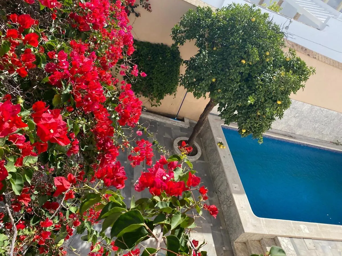 Bed & Breakfast Casa Palacio Anima Jerez de la Frontera Spain